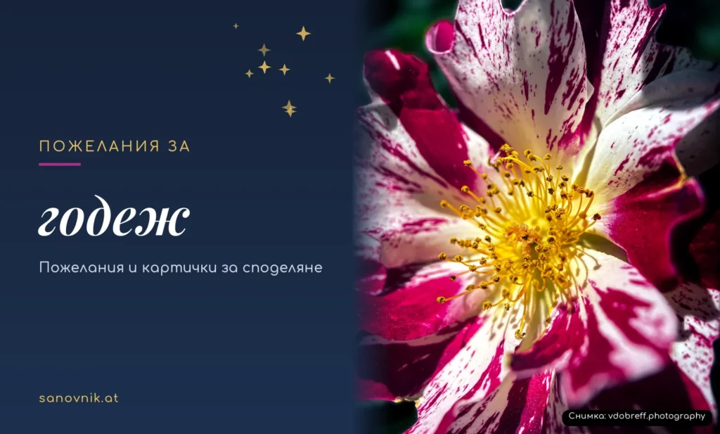 Пожелания за годеж