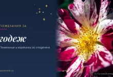 Пожелания за годеж