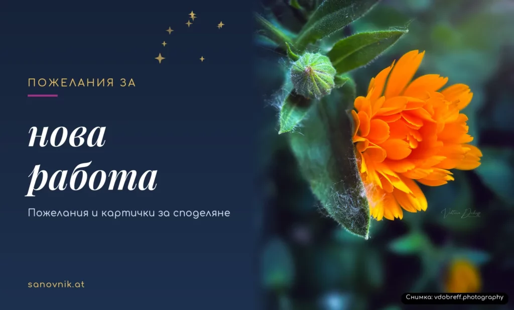 Пожелания за нова работа