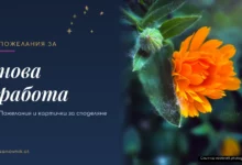 Пожелания за нова работа