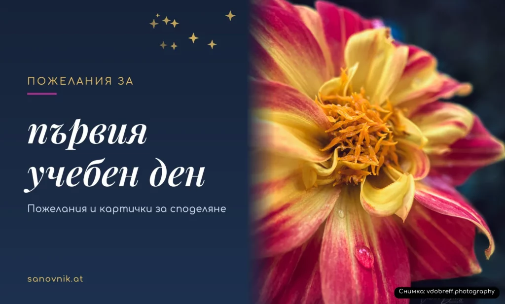 Пожелания за първия учебен ден