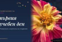Пожелания за първия учебен ден