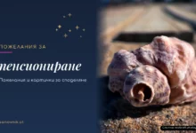 Пожелания за пенсиониране